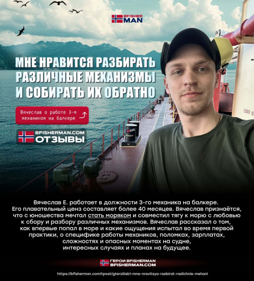 bfishg_467416.jpg